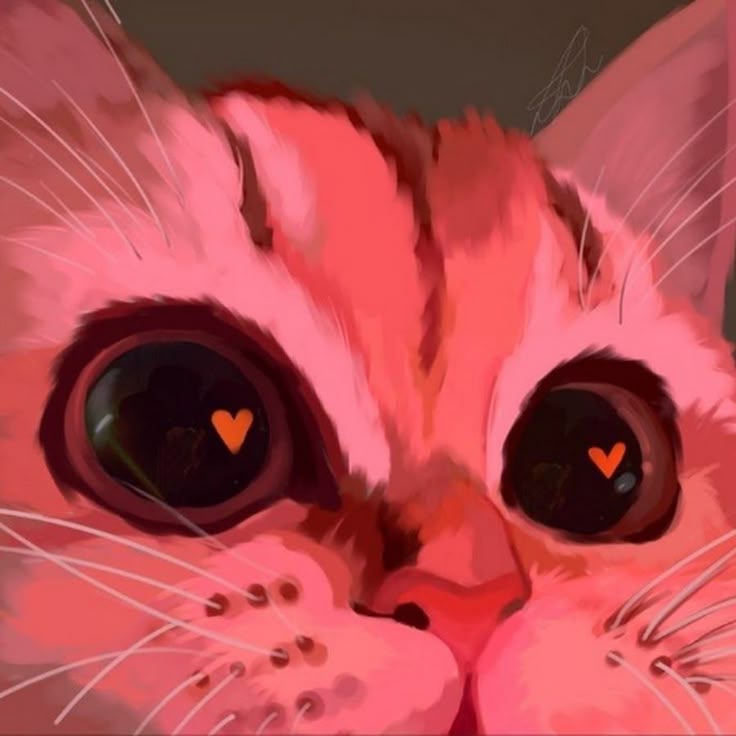 Cat 4